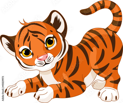 Playful tiger cub