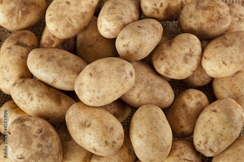 Canvastavla Fresh Organic Whole Potato