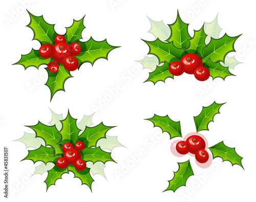 Holly christmas branch set