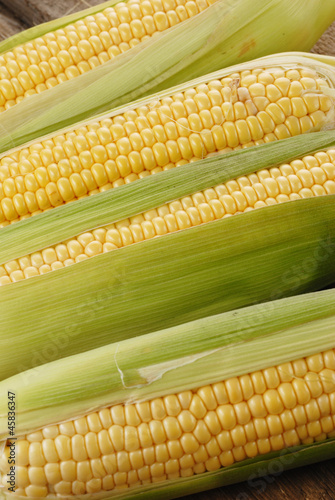 corn cob