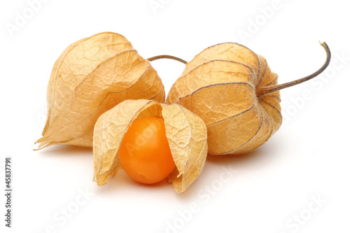 Three Physalis fruits