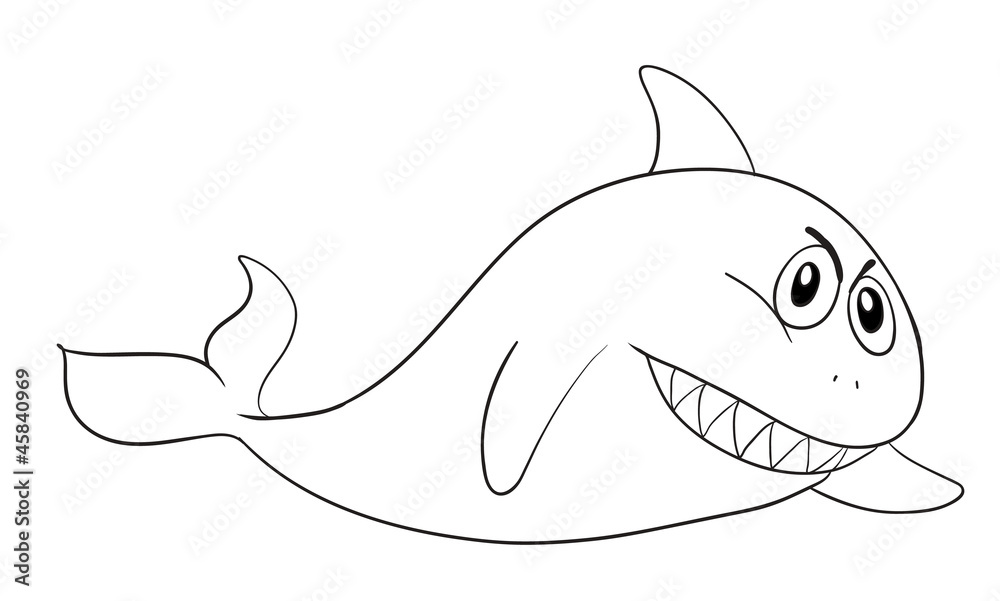 Fototapeta premium shark