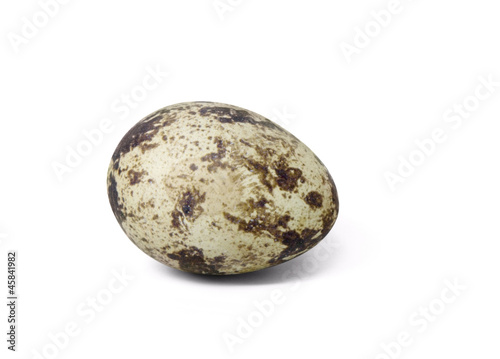 quail egg © PRILL Mediendesign