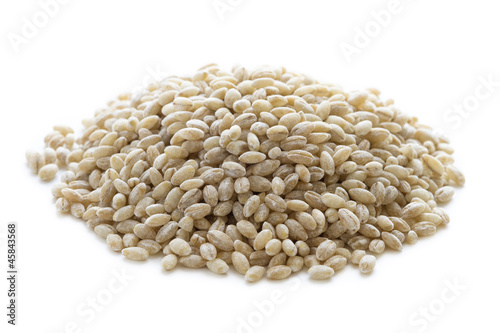 pearl barley isolated photo