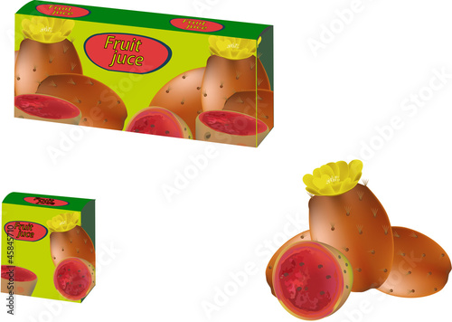 succo di frutta-fruit juice