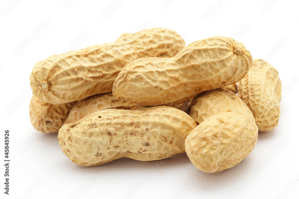 peanut peanut
