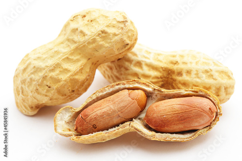 close up of peanut