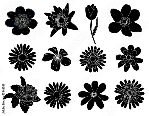 Set of black flower design elements