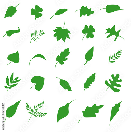 Green leaf icons set. Nature & ecology image.