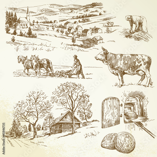 rural landscape, agriculture, farming