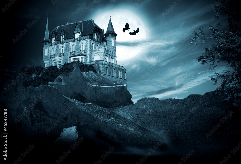 Fototapeta premium halloween, castillo con luna, noche