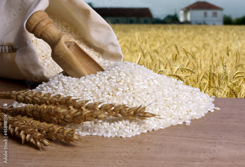 Quadro su tela arroz integral natural