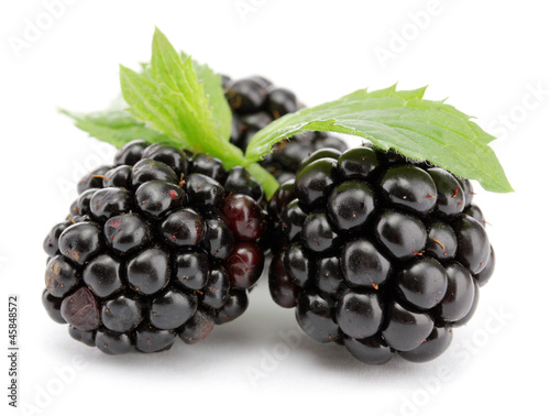 beautiful blackberries with leaf isolated on white