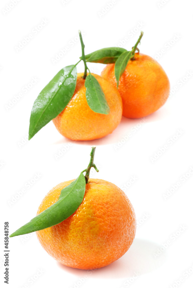 mandarine mandarine