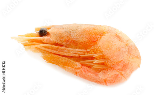 Boiled shrimp isolated on white