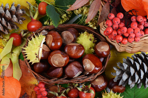 Chestnuts on autumn leaves