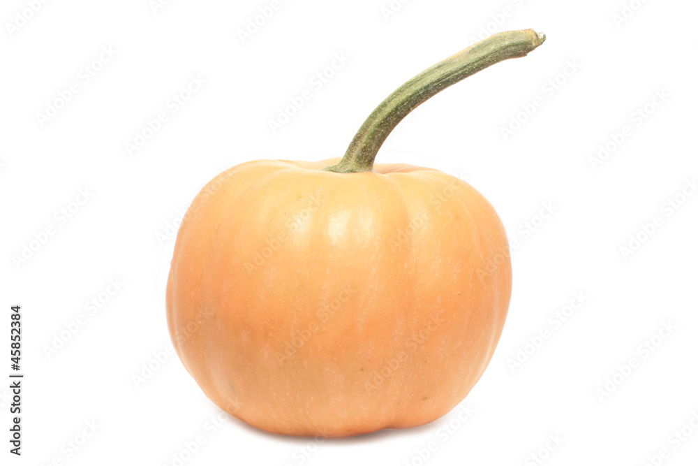 Citrouille Citrouille