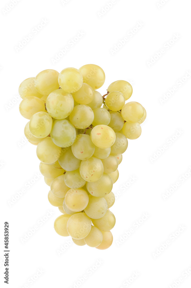 Branch of green grapes isolated on white Branch of green grapes isolated on white