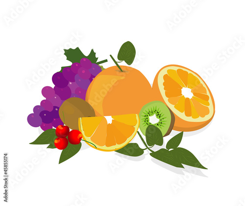 vector illustration of fruits