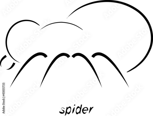 Spinne