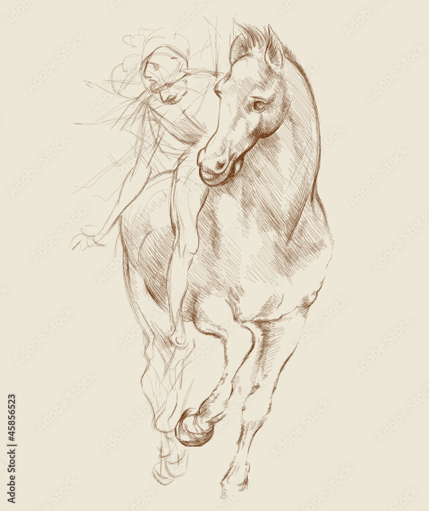 Naklejka premium Koń i jeździec. Na podstawie rysunku Leonarda da Vinci