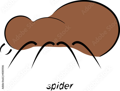 Spinne