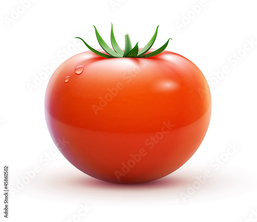 Red fresh tomato