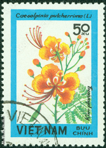 stamp printed in Vietnam shows Caesalpinia pulcherrima