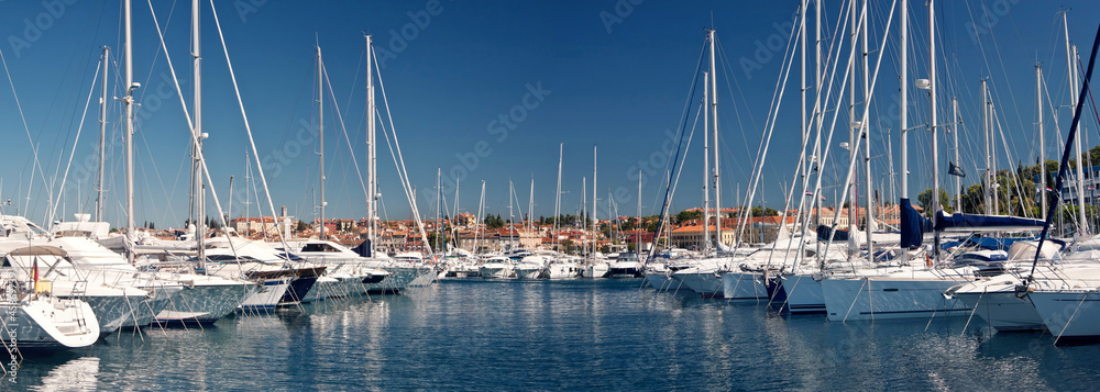 Fototapeta premium the sailing boats in harbor