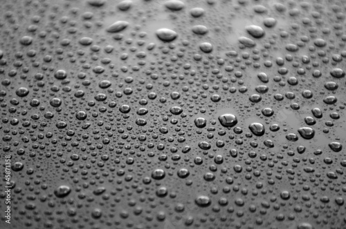 Wallpaper Mural Waterdrops on a polished lacquer surface Torontodigital.ca