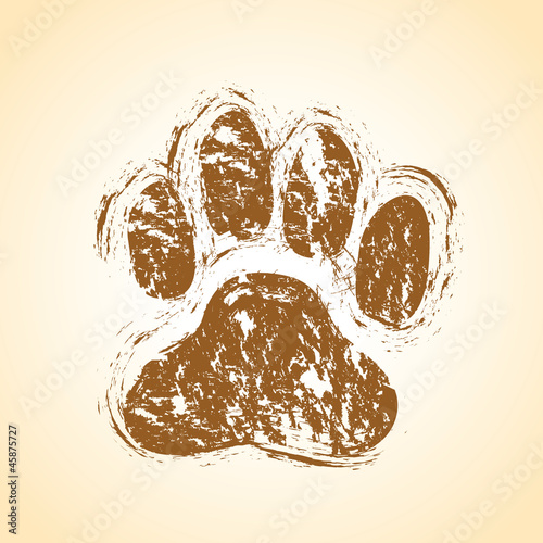 dog paws