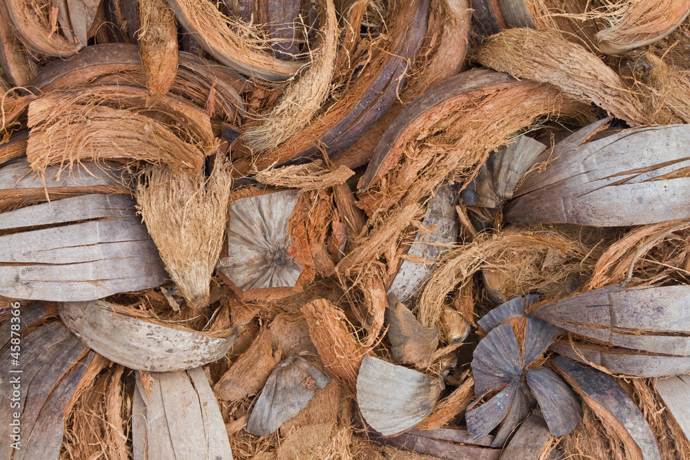 Background of the many spathe. Background of the many spathe.
