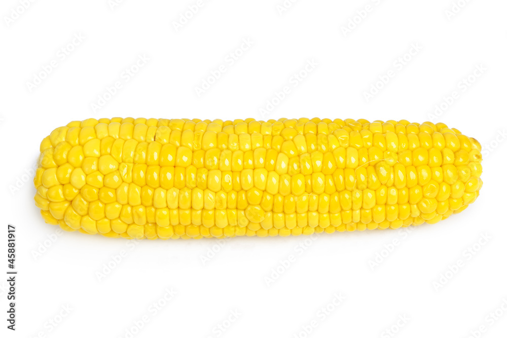 Corn isolated on white Corn isolated on white