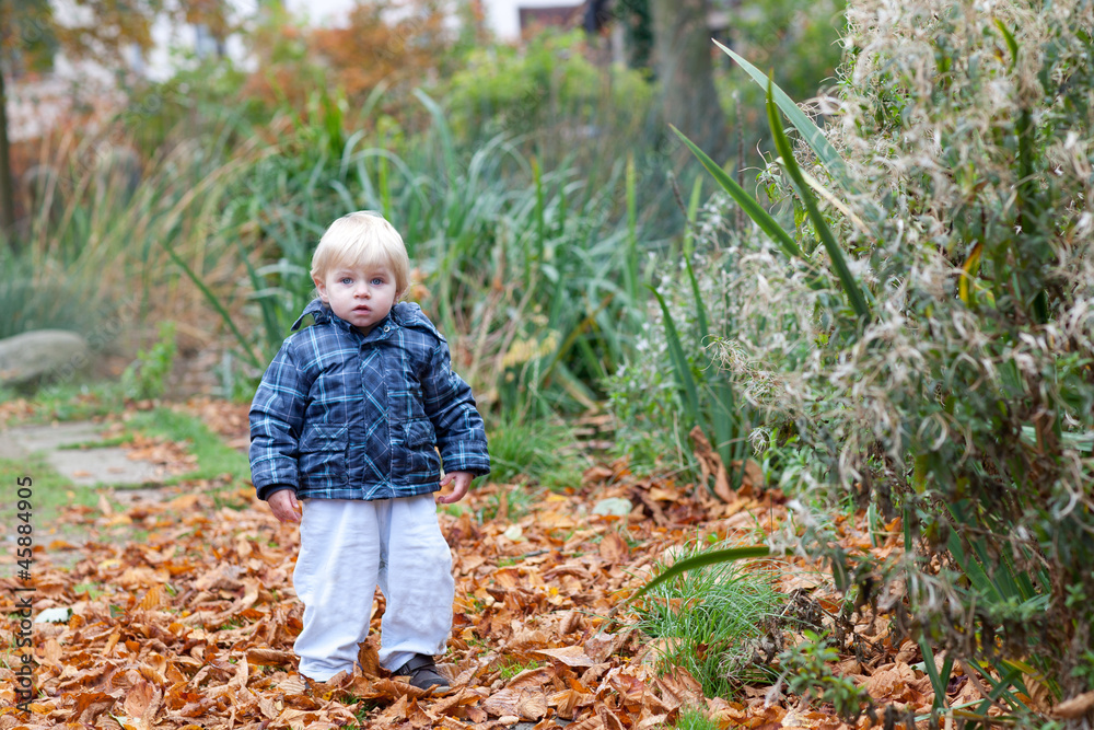 Little toddler boy in autumn park Little toddler boy in autumn park