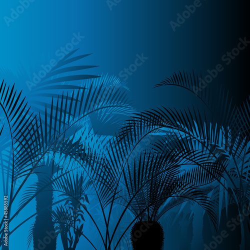 Tropical leaf rain forest background in night