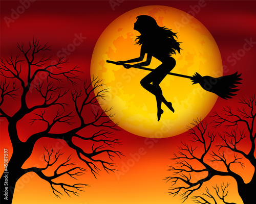Witch on a broomstick