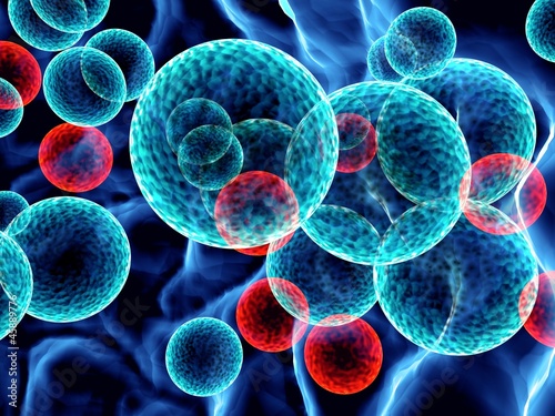 red and blue cells