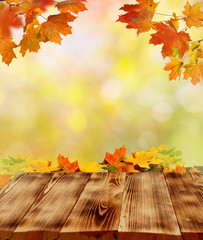 autumn background