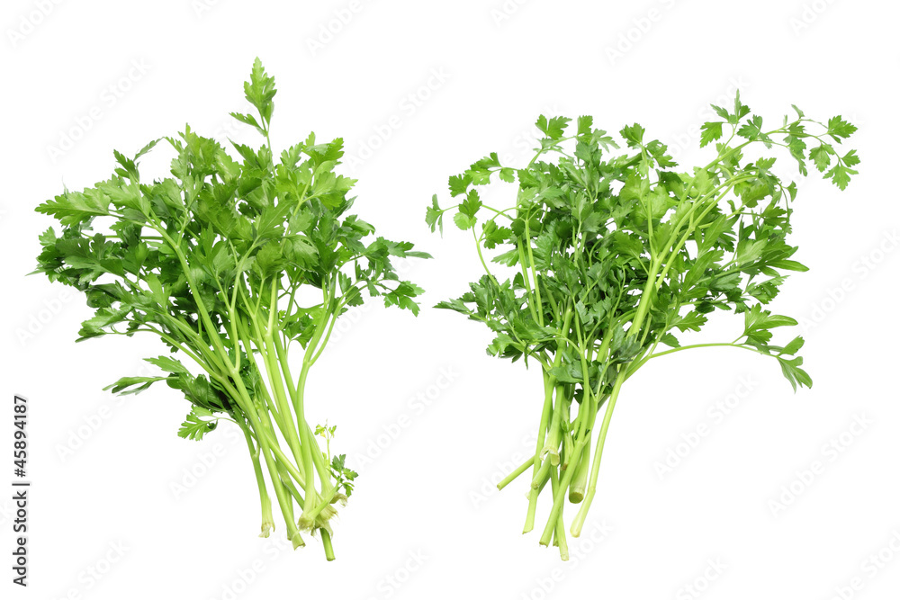 Parsley Parsley