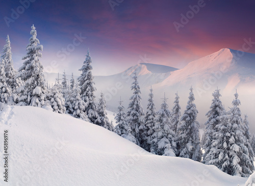 Colorful winter landscape in the mountains. Sunrise © Andrew Mayovskyy