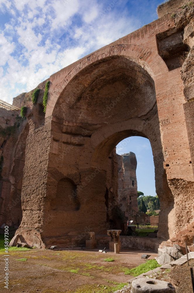 Terme di Caracalla Swimming pools ruins vertical - Roma - Italy