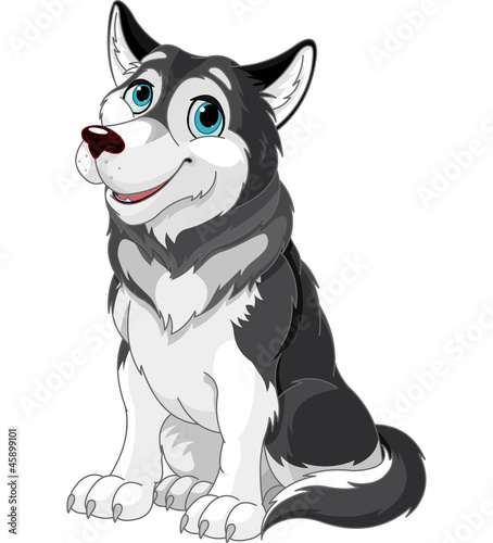 Alaskan Malamute