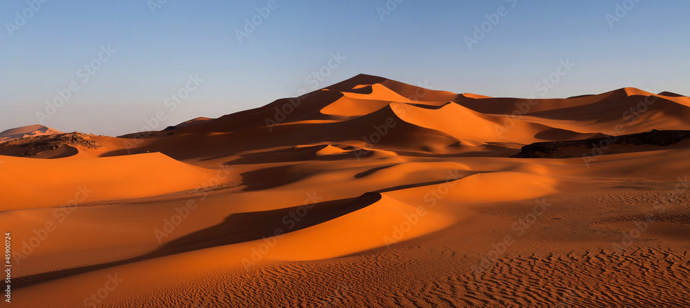 Naklejka premium Panorama of sand dunes, Algeria
