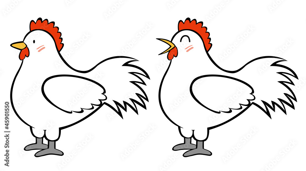 Fototapeta premium 鶏