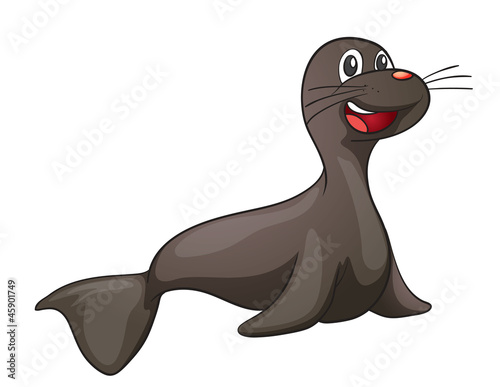 seal