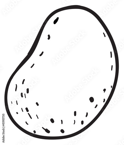 sketch of a potato