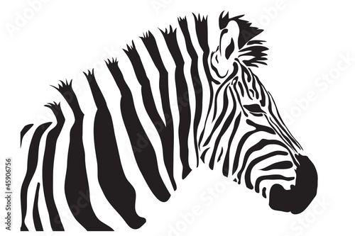 zebra vector outline silhouette