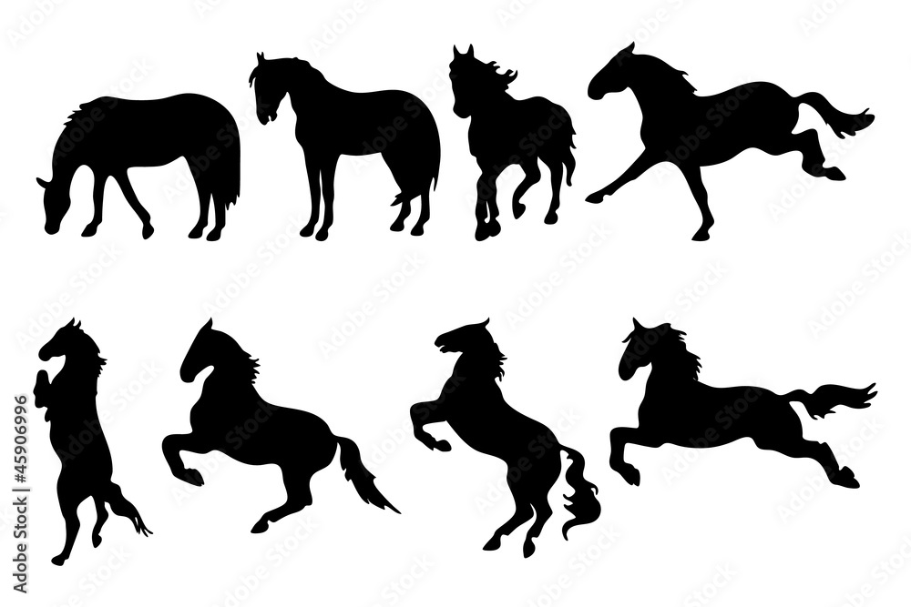 Various horse silhouettes on white