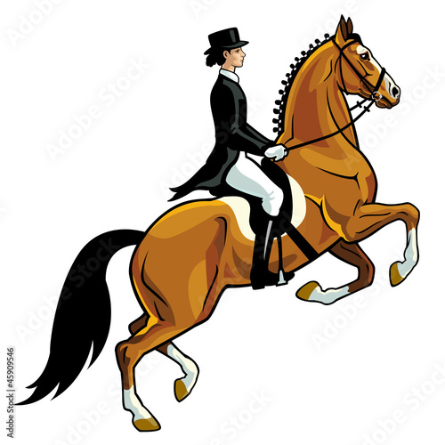 dressage rider