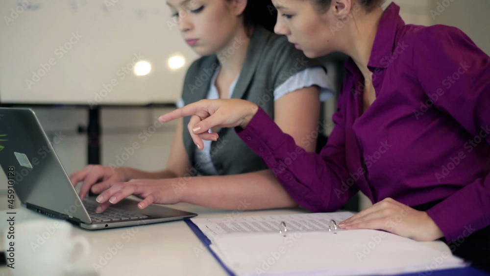 Two young businesswomen with laptop and documents in the office Two young businesswomen with laptop and documents in the office